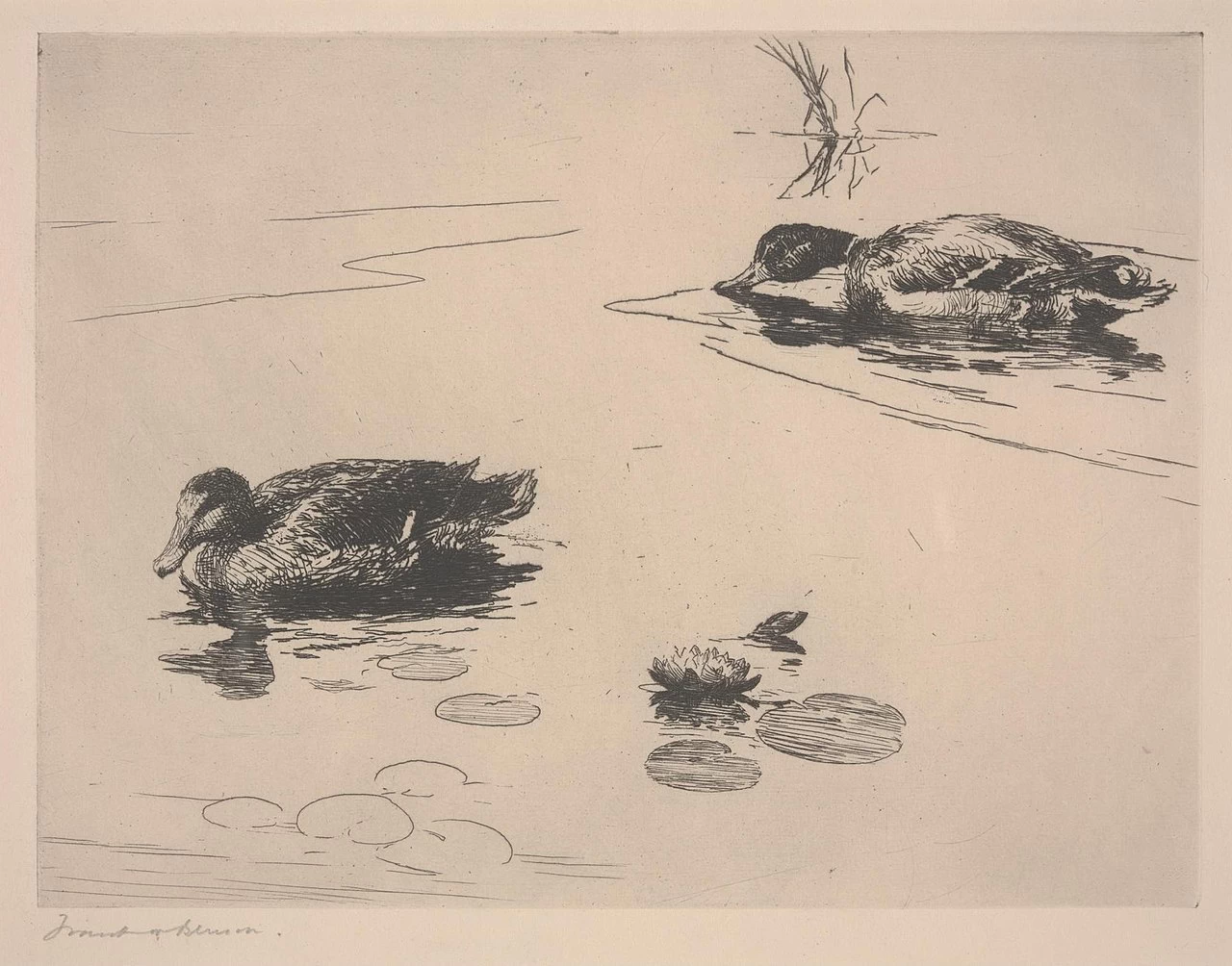 Compagni, 1918 - Dallas Museum of Art